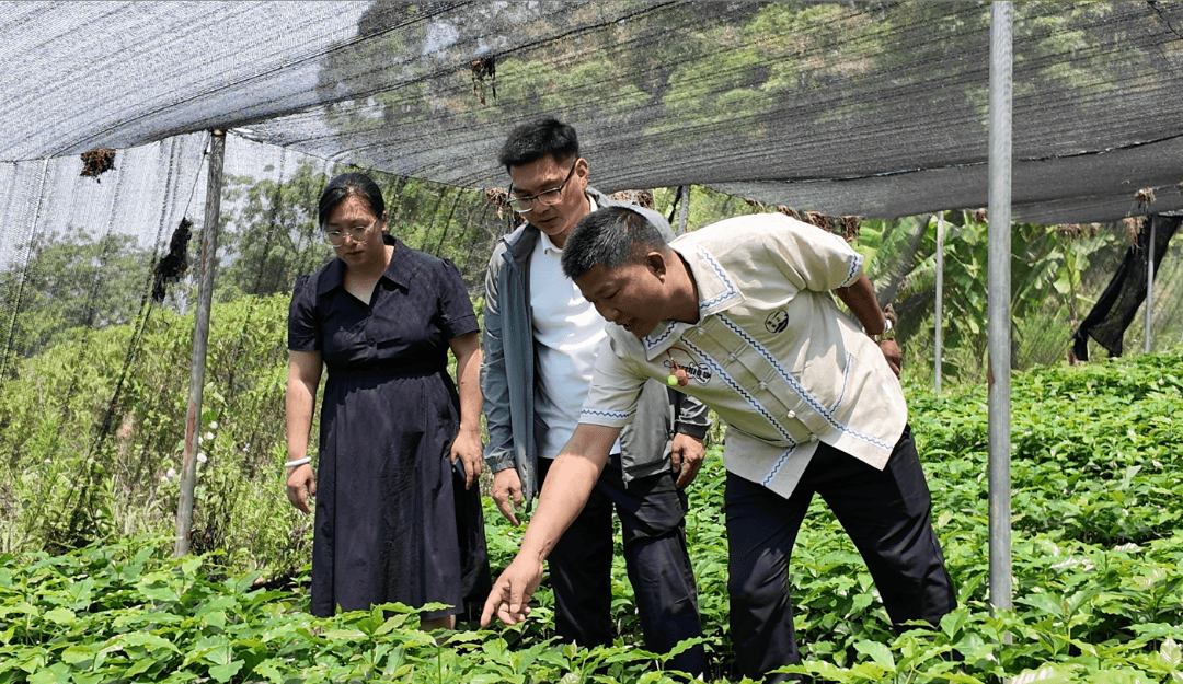 时】一杯咖啡煮出边疆振兴新图景不朽情缘游戏网站【乡村振兴进行(图6)