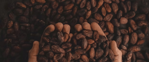 」东鹏2025三季度营收同比增长3036%一周热闻不朽情缘康师傅×疯狂动物城上新「冻冻茶冰红茶味果冻(图3)